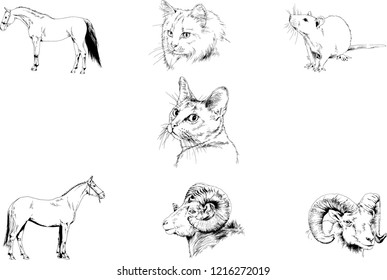 Set of vector drawings of different animals, hand-drawn sketches, objects with no background