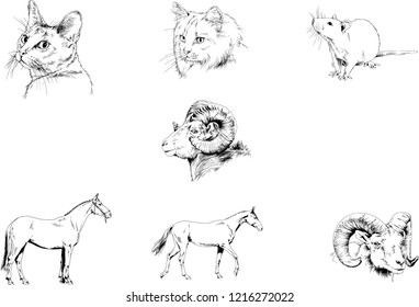 Set of vector drawings of different animals, hand-drawn sketches, objects with no background