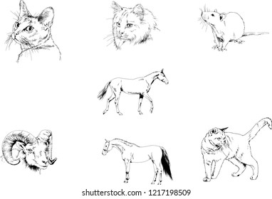 Set of vector drawings of different animals, hand-drawn sketches, objects with no background