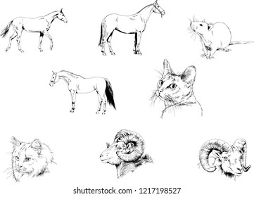 Set of vector drawings of different animals, hand-drawn sketches, objects with no background