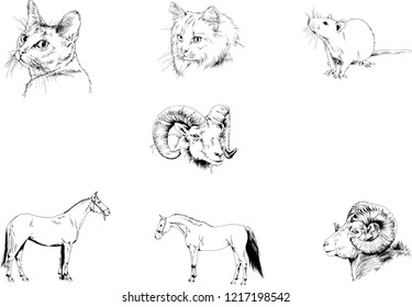 Set of vector drawings of different animals, hand-drawn sketches, objects with no background