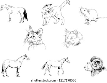 Set of vector drawings of different animals, hand-drawn sketches, objects with no background