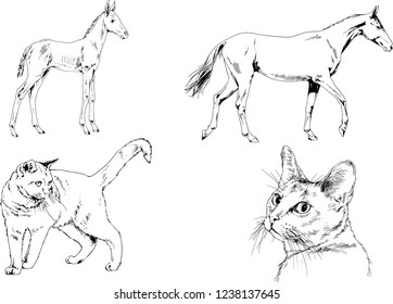 Set of vector drawings of different animals, hand-drawn sketches, objects with no background