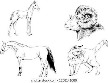 Set of vector drawings of different animals, hand-drawn sketches, objects with no background