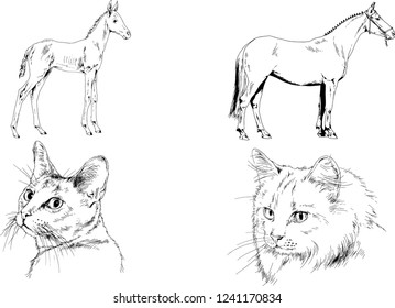 Set of vector drawings of different animals, hand-drawn sketches, objects with no background