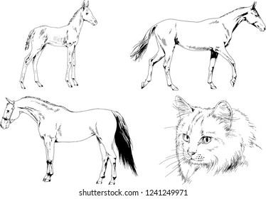 Set of vector drawings of different animals, hand-drawn sketches, objects with no background