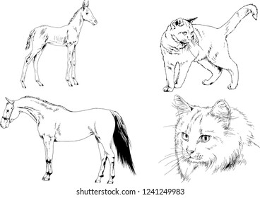 Set of vector drawings of different animals, hand-drawn sketches, objects with no background