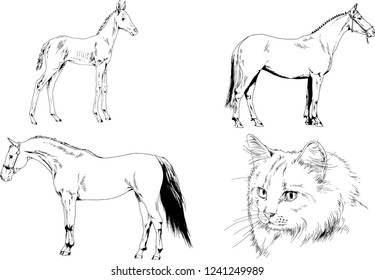 Set of vector drawings of different animals, hand-drawn sketches, objects with no background