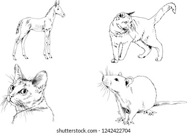 Set of vector drawings of different animals, hand-drawn sketches, objects with no background