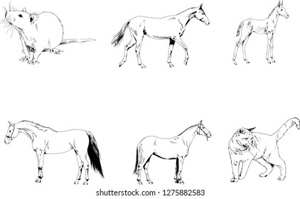 Set Vector Drawings Different Animals Handdrawn Stock Vector (Royalty ...