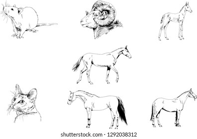 Set of vector drawings of different animals, hand-drawn sketches, objects with no background