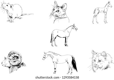 Set of vector drawings of different animals, hand-drawn sketches, objects with no background