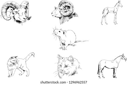 Set of vector drawings of different animals, hand-drawn sketches, objects with no background