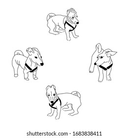 Conjunto de dibujos vectoriales de diferentes caracteres de perro. Dibujo lineal en blanco y negro de un animal