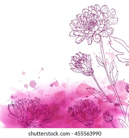 Set of vector drawings of flowers. Chrysanthemum line drawn on a watercolor background. Spring flowers. Sketch color line.