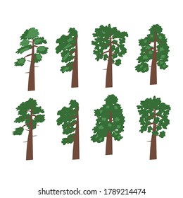 Set of vector drawings of green trees on a white isolated background. Trees, conifers, pines, spruces, flat design, cartoon for decoration of invitations, postcards
