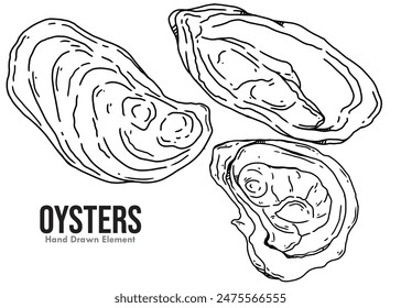 A set of vector drawings of ink line art oysters on a white background.
