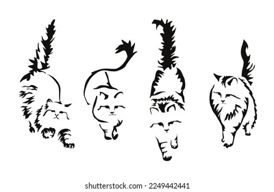 A set vector drawings long  haired cat in different poses  Leisurely walking angora cat and raised tail  Image an animal in the style gestalt design