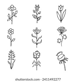 Set of vector drawings of meadow flowers in cartoon style on a white background, drawn by hand.