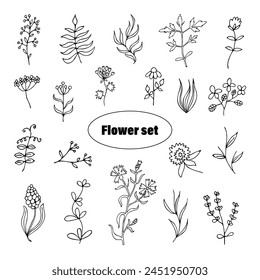 Set of vector drawings of meadow flowers in cartoon style on a white background, drawn by hand.