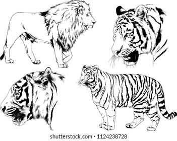 set of vector drawings on the theme of predators tigers are drawn by hand with ink tattoo logos