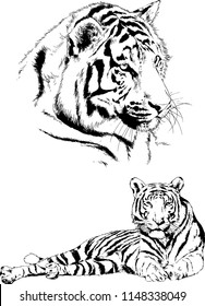 set of vector drawings on the theme of predators tigers are drawn by hand with ink tattoo logos