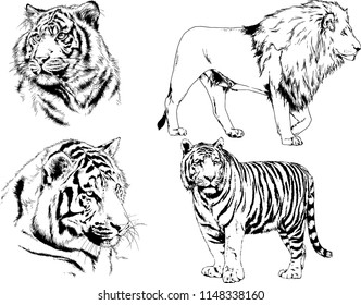 set of vector drawings on the theme of predators tigers are drawn by hand with ink tattoo logos