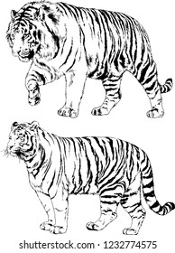 set of vector drawings on the theme of predators tigers are drawn by hand with ink tattoo logos