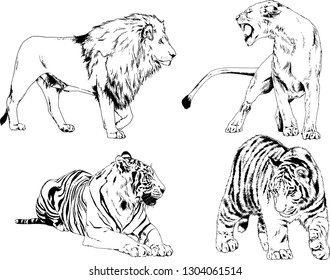 set of vector drawings on the theme of predators tigers are drawn by hand with ink tattoo logos