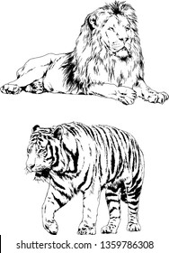 set of vector drawings on the theme of predators tigers are drawn by hand with ink tattoo logos
