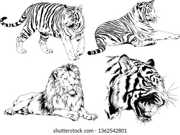 set of vector drawings on the theme of predators tigers are drawn by hand with ink tattoo logos