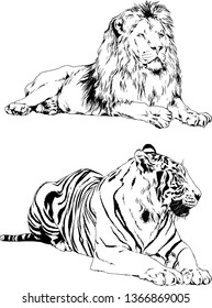 set of vector drawings on the theme of predators tigers are drawn by hand with ink tattoo logos