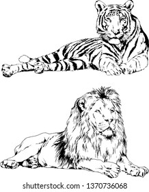 set of vector drawings on the theme of predators tigers are drawn by hand with ink tattoo logos
