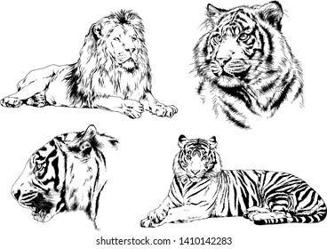 set of vector drawings on the theme of predators tigers are drawn by hand with ink tattoo logos