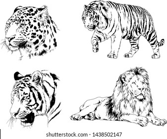 set of vector drawings on the theme of predators tigers are drawn by hand with ink tattoo logos