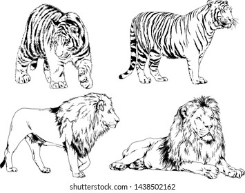 set of vector drawings on the theme of predators tigers are drawn by hand with ink tattoo logos