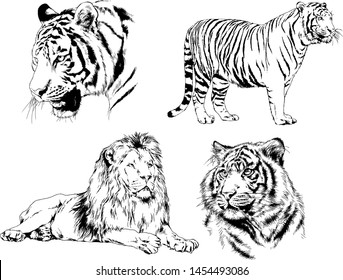 set of vector drawings on the theme of predators tigers are drawn by hand with ink tattoo logos