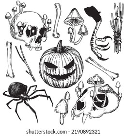 Set Of Vector Drawings On The Theme Of Halloween. Black And White Graphic Drawings In Vintage Style. Witchcraft, Magic, Spirituality. Skull, Crystal, Mushrooms, Frog, Potions, Spiders And Bones