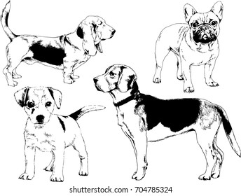 set of vector drawings on the theme of Pets drawn in ink by hand