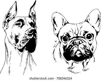 set of vector drawings on the theme of Pets drawn in ink by hand