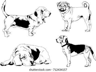 set of vector drawings on the theme of Pets drawn in ink by hand