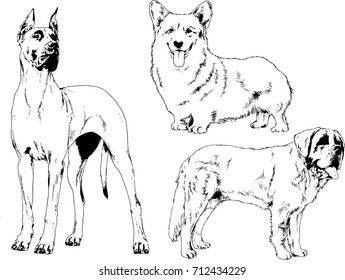 set of vector drawings on the theme of Pets drawn in ink by hand