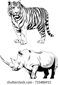 set of vector drawings on the theme of animals , a tiger and a Rhino drawn in ink freehand sketch logo without background