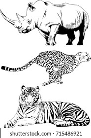 set of vector drawings on the theme of animals , tiger Cheetah Rhino drawn in ink freehand sketch logo without background