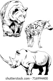 set of vector drawings on the theme of animals painted in ink by hand without a background