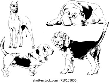 set of vector drawings on the theme of Pets drawn in ink by hand logo