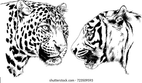 set of vector drawings on the theme of predators are drawn by hand with ink tattoo logos