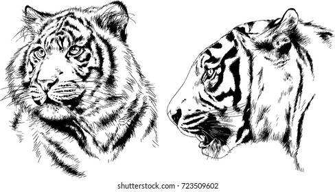 set of vector drawings on the theme of predators are drawn by hand with ink tattoo logos
