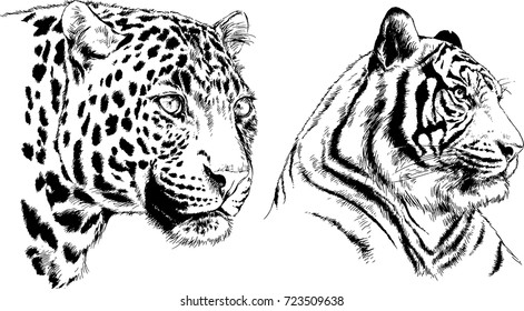 set of vector drawings on the theme of predators are drawn by hand with ink tattoo logos