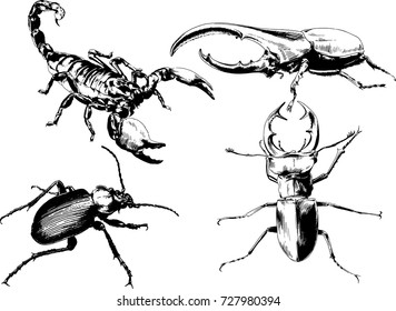 set of vector drawings on the theme of insects drawn in ink by hand without a background